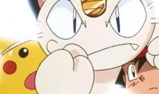 小霞的可达鸭 小霞的可达鸭